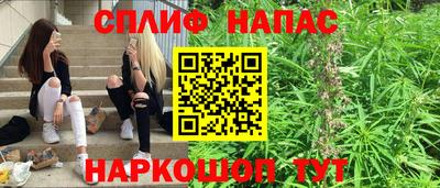 сатива Ачхой-Мартан