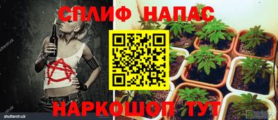 марихуана Баксан
