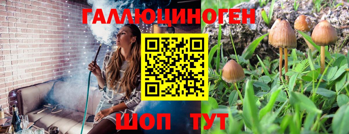 Галлюциногенные грибы ЛСД  Вход с VPN  Галлюциногенные грибы прущие грибы  Камышин 