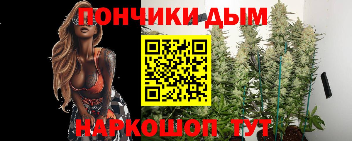 Камышин  Бошки марихуана Ganja  Бошки Шишки ГИДРОПОН  Вход с VPN  Каннабис THC 21% 